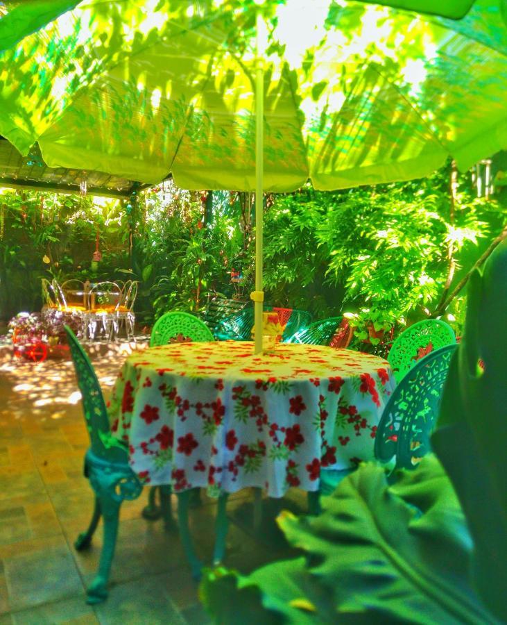 Hotel Oasis San Salvador Kültér fotó